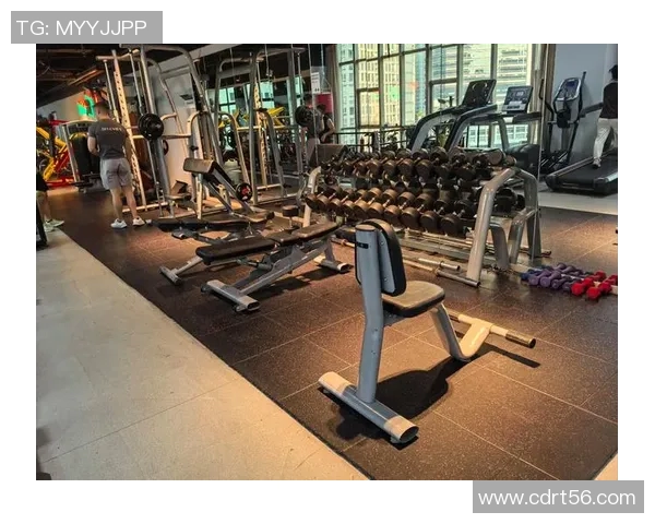 广州健身器材厂家提供高品质健身设备助力健康生活选择多样化满足不同需求